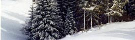 Offerta last minute Capodanno Asiago